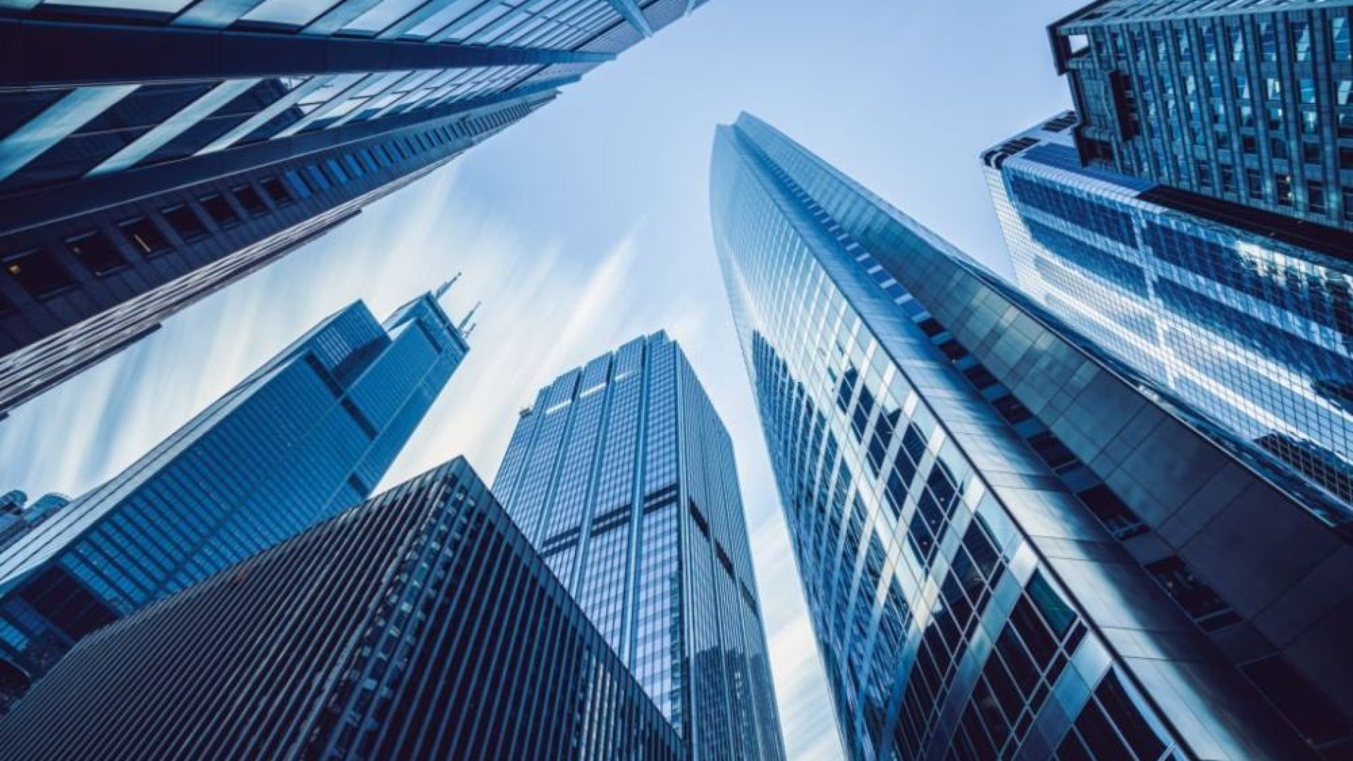 PT. Tri Digital Lebak